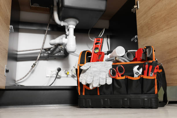 Best Clogged Drain Plumber  in Quail Ridge, FL