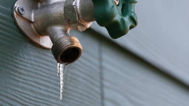 Best Faucet Repair  in Quail Ridge, FL